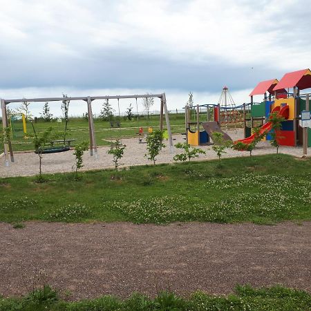 Gite Terre D'Helene 4 A 5 Pers Proche Strasbourg 42 M2, 3 Etoiles, Wifi, Paisible, Jardin, Proche Commerces,16 Atouts, Animaux Acceptes Berstett מראה חיצוני תמונה