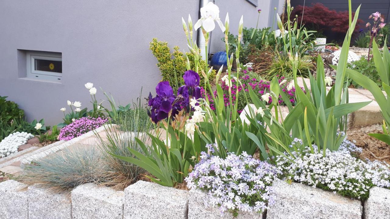 Gite Terre D'Helene 4 A 5 Pers Proche Strasbourg 42 M2, 3 Etoiles, Wifi, Paisible, Jardin, Proche Commerces,16 Atouts, Animaux Acceptes Berstett מראה חיצוני תמונה
