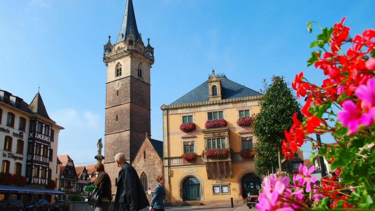 Gite Terre D'Helene 4 A 5 Pers Proche Strasbourg 42 M2, 3 Etoiles, Wifi, Paisible, Jardin, Proche Commerces,16 Atouts, Animaux Acceptes Berstett מראה חיצוני תמונה