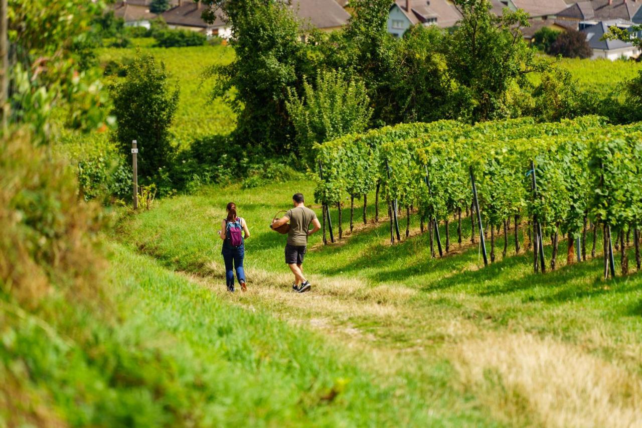 Gite Terre D'Helene 4 A 5 Pers Proche Strasbourg 42 M2, 3 Etoiles, Wifi, Paisible, Jardin, Proche Commerces,16 Atouts, Animaux Acceptes Berstett מראה חיצוני תמונה