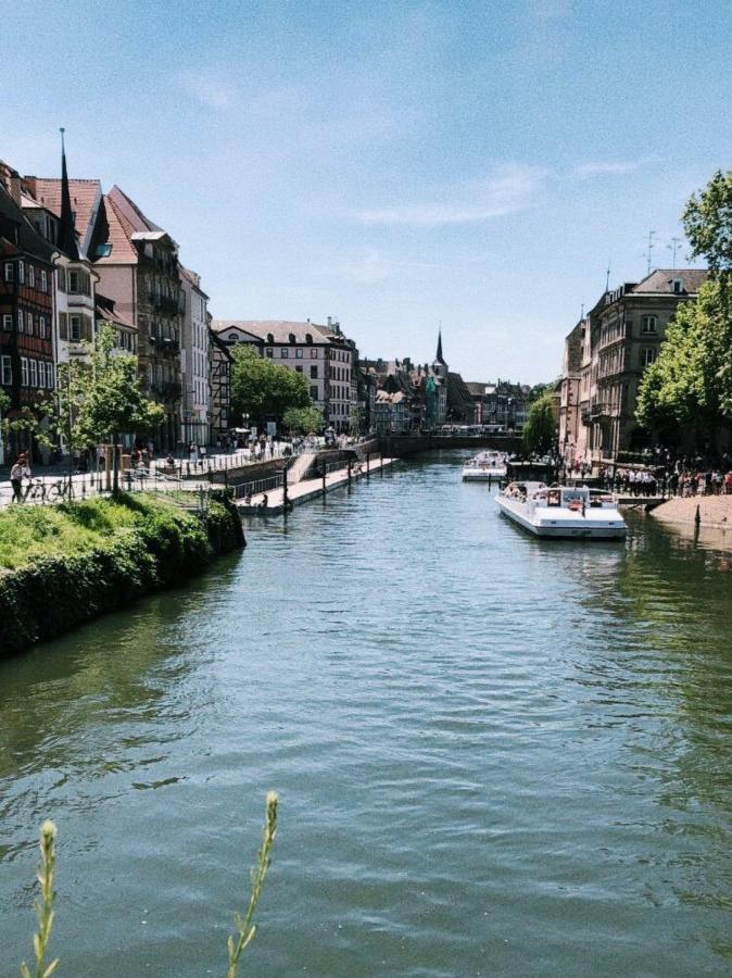 Gite Terre D'Helene 4 A 5 Pers Proche Strasbourg 42 M2, 3 Etoiles, Wifi, Paisible, Jardin, Proche Commerces,16 Atouts, Animaux Acceptes Berstett מראה חיצוני תמונה