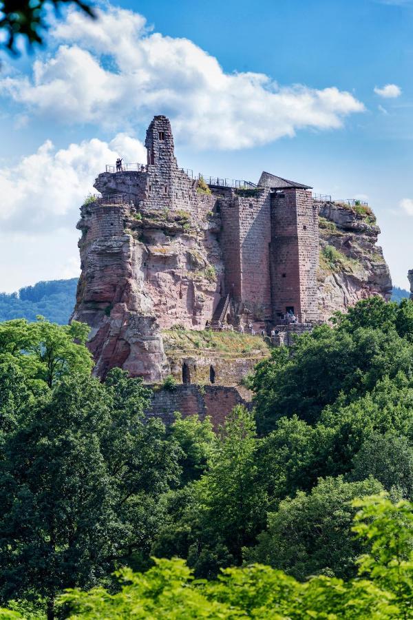 Gite Terre D'Helene 4 A 5 Pers Proche Strasbourg 42 M2, 3 Etoiles, Wifi, Paisible, Jardin, Proche Commerces,16 Atouts, Animaux Acceptes Berstett מראה חיצוני תמונה